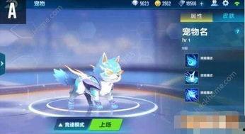 最新飞车宠物大爆料,神秘宠物来袭,激战一触即发!